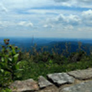 Meet your Posher, Cassandra